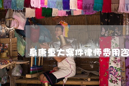 阜康重大案件律师费用咨询 阜康重大案件律师费用咨询