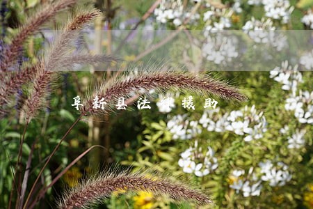 阜新县法律援助 阜新县法律援助