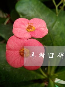阜新口碑好的律师事务所 阜新口碑好的律师事务所
