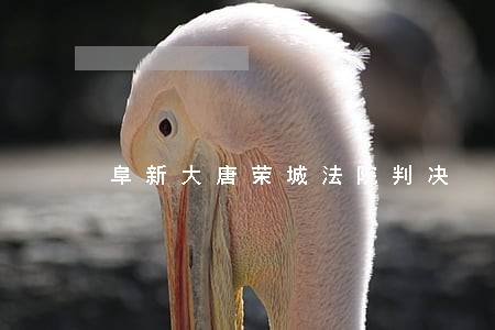 阜新大唐荣城法院判决