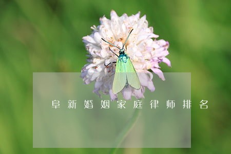 阜新婚姻家庭律师排名 阜新婚姻家庭律师排名