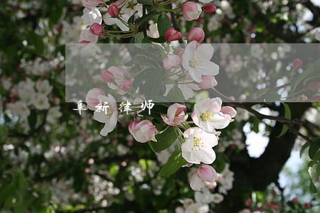 阜新律师 阜新律师