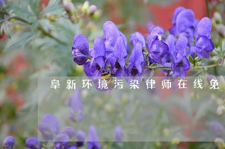 阜新环境污染律师在线免费咨询 阜新环境污染律师在线免费咨询