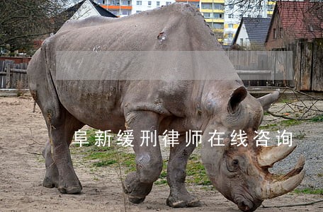 阜新缓刑律师在线咨询 阜新缓刑律师在线咨询