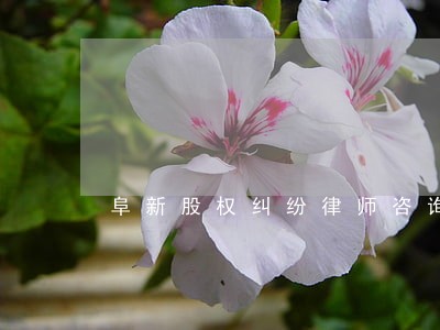 阜新股权纠纷律师咨询电话 阜新股权纠纷律师咨询电话