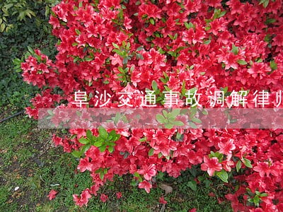阜沙交通事故调解律师 阜沙交通事故调解律师