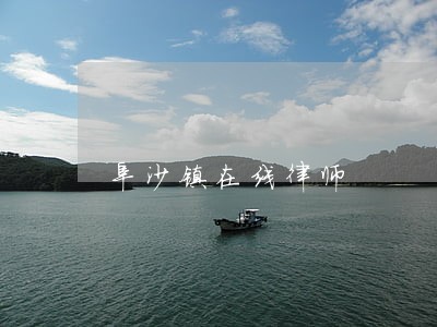 阜沙镇在线律师
