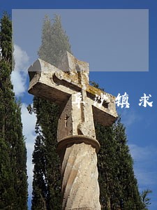 阜沙镇求学教育在线律师 阜沙镇求学教育在线律师