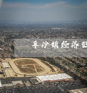 阜沙镇经济犯罪在线律师咨询 阜沙镇经济犯罪在线律师咨询