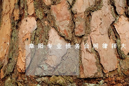 阜阳专业债务合同律师大概多少钱 阜阳专业债务合同律师大概多少钱