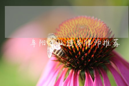 阜阳专业债务律师推荐 阜阳专业债务律师推荐