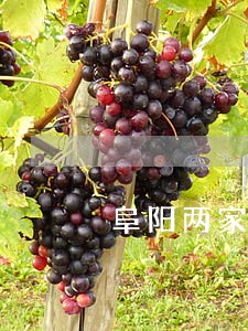 阜阳两家商店违法销售液化气 阜阳两家商店违法销售液化气