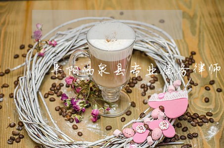阜阳临泉县专业债务律师 阜阳临泉县专业债务律师