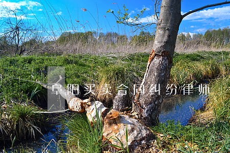 阜阳买卖合同纠纷律师 阜阳买卖合同纠纷律师