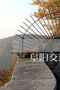 阜阳交通违法客服电话