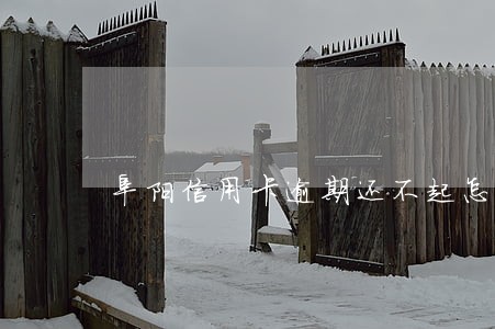 阜阳信用卡逾期还不起怎么办 阜阳信用卡逾期还不起怎么办