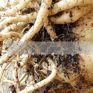 阜阳债务合同律师在线咨询 阜阳债务合同律师在线咨询