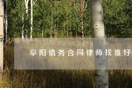 阜阳债务合同律师找谁好 阜阳债务合同律师找谁好