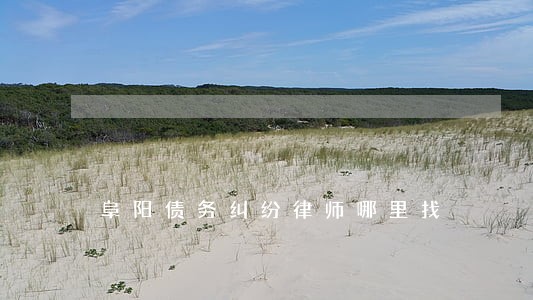 阜阳债务纠纷律师哪里找 阜阳债务纠纷律师哪里找