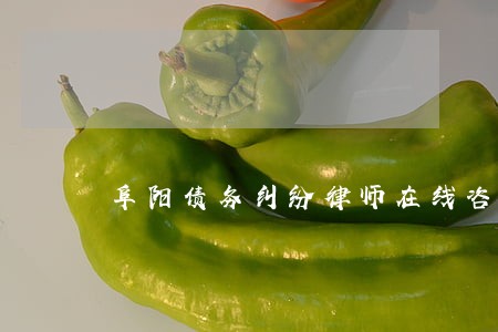 阜阳债务纠纷律师在线咨询 阜阳债务纠纷律师在线咨询