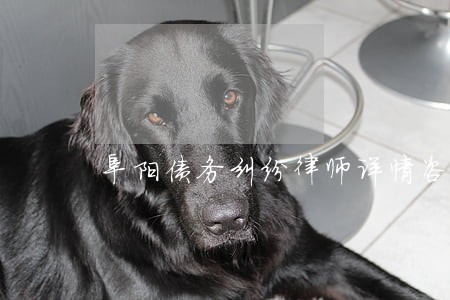 阜阳债务纠纷律师详情咨询 阜阳债务纠纷律师详情咨询