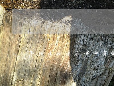 阜阳债权债务律师有哪些 阜阳债权债务律师有哪些
