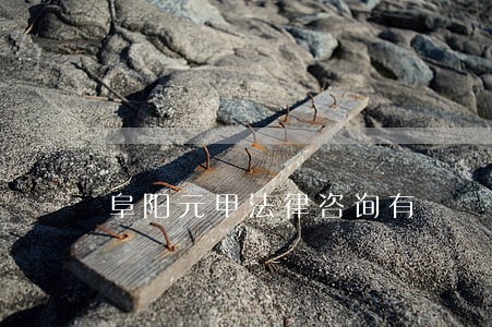阜阳元甲法律咨询有 阜阳元甲法律咨询有