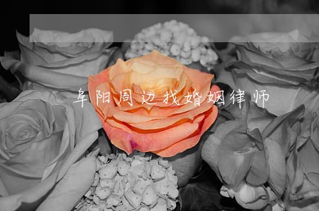 阜阳周边找婚姻律师 阜阳周边找婚姻律师