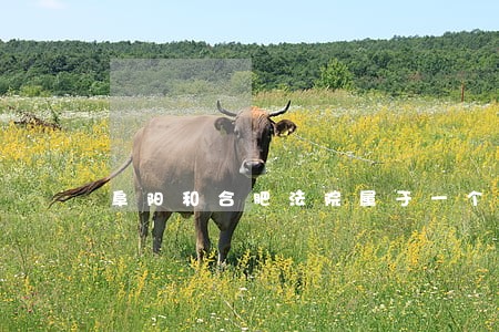 阜阳和合肥法院属于一个管辖区吗 阜阳和合肥法院属于一个管辖区吗