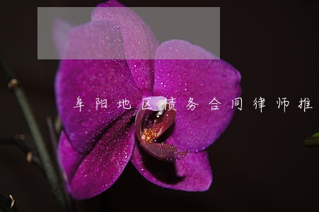 阜阳地区债务合同律师推荐 阜阳地区债务合同律师推荐