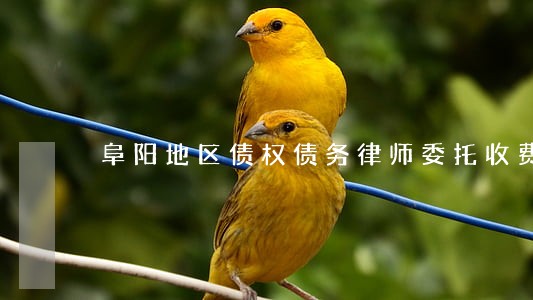阜阳地区债权债务律师委托收费 阜阳地区债权债务律师委托收费