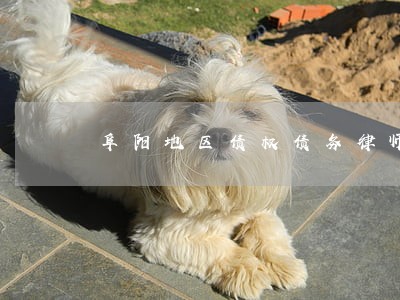 阜阳地区债权债务律师委托步骤 阜阳地区债权债务律师委托步骤