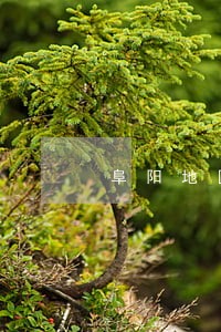 阜阳地区婚姻律师收费 阜阳地区婚姻律师收费