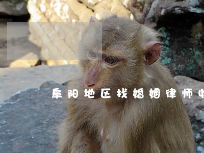 阜阳地区找婚姻律师收费 阜阳地区找婚姻律师收费