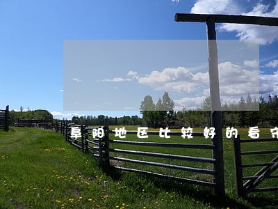 阜阳地区比较好的看守所会见律师 阜阳地区比较好的看守所会见律师