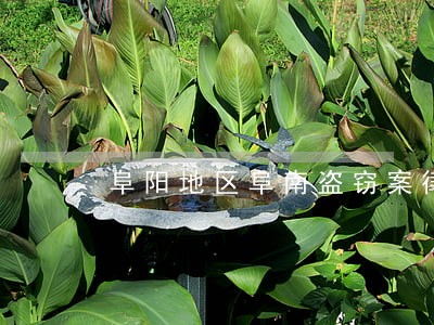 阜阳地区阜南盗窃案律师咨询电话 阜阳地区阜南盗窃案律师咨询电话