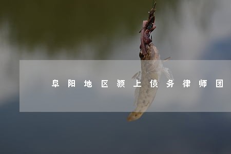 阜阳地区颍上债务律师团队 阜阳地区颍上债务律师团队
