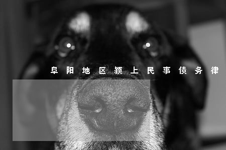 阜阳地区颍上民事债务律师 阜阳地区颍上民事债务律师