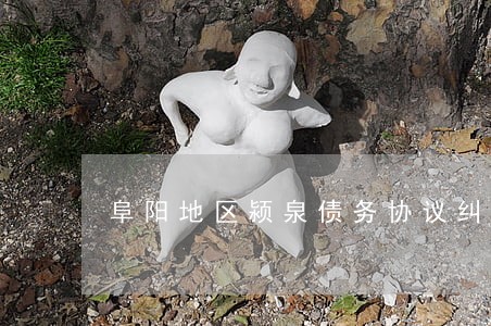 阜阳地区颍泉债务协议纠纷律师