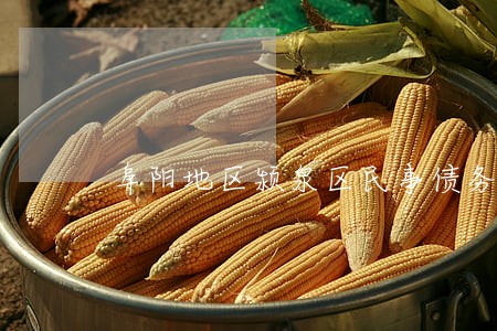 阜阳地区颍泉区民事债务律师 阜阳地区颍泉区民事债务律师