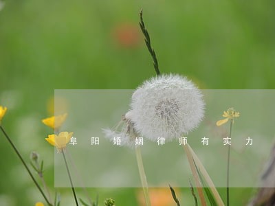 阜阳婚姻律师有实力 阜阳婚姻律师有实力