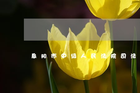 阜阳市中级人民法院司法拍卖 阜阳市中级人民法院司法拍卖