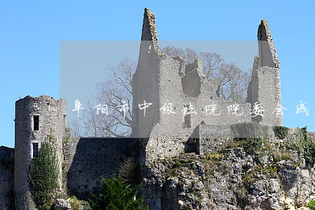 阜阳市中级法院院委会成员