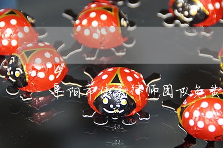 阜阳市债务律师团队免费咨询