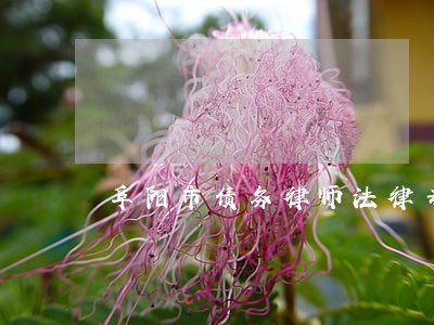 阜阳市债务律师法律专线 阜阳市债务律师法律专线
