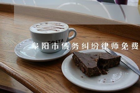 阜阳市债务纠纷律师免费咨询