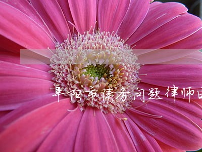 阜阳市债务问题律师电话 阜阳市债务问题律师电话