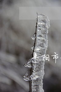 阜阳市办理婚姻律师推荐 阜阳市办理婚姻律师推荐
