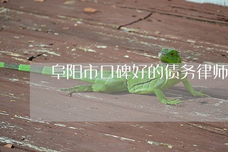 阜阳市口碑好的债务律师费用标准 阜阳市口碑好的债务律师费用标准