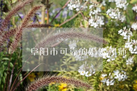阜阳市可靠的婚姻律师 阜阳市可靠的婚姻律师